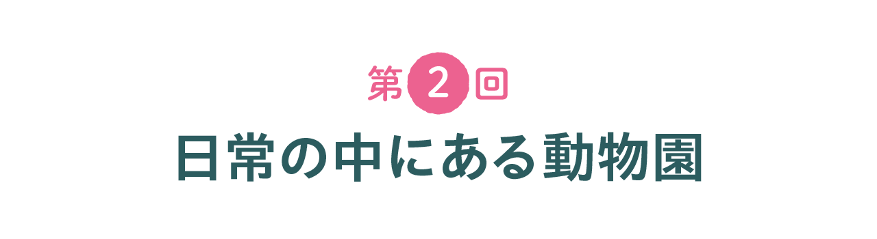 次ページイメージ