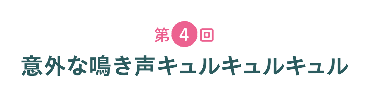 第４回 意外な鳴き声キュルキュルキュル
