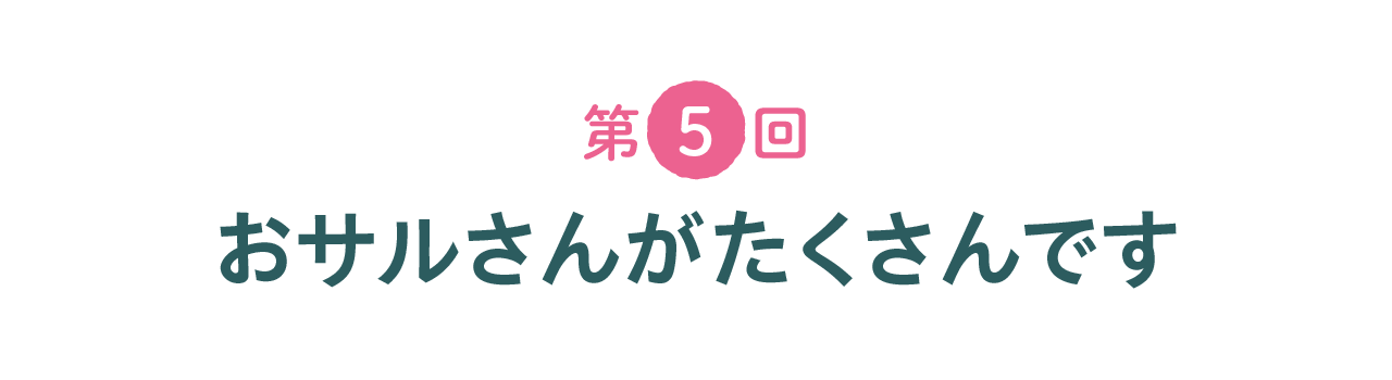 第５回 おサルさんがたくさんです