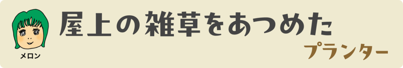 屋上の雑草を集めたプランター
