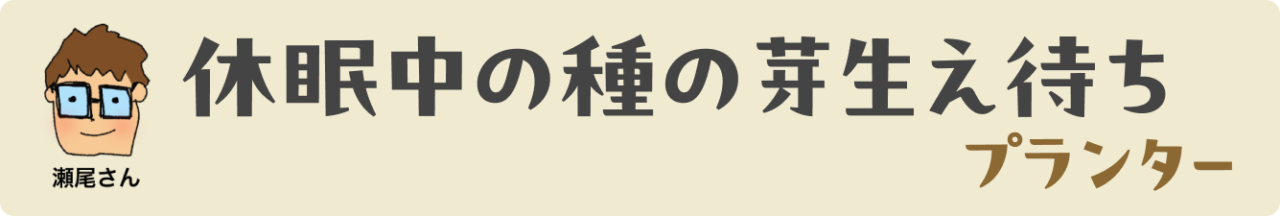 休眠中の種の芽生え待ちプランター