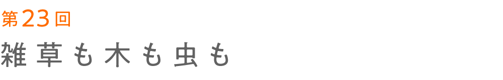 次ページイメージ