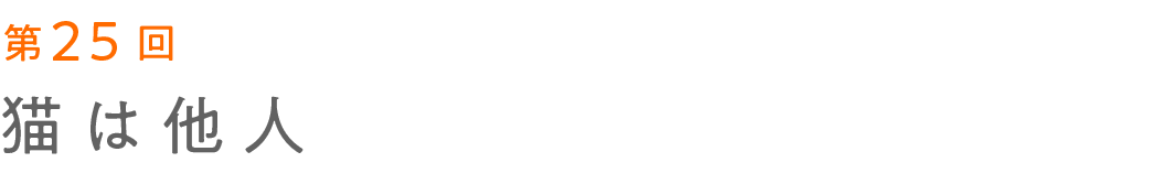 次ページイメージ