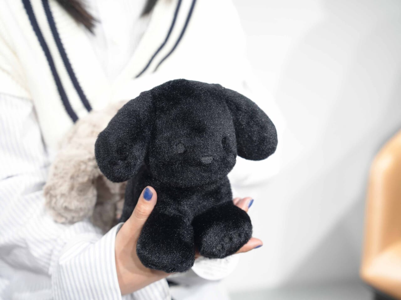 第6回】「わたしの犬」展、はじまります | 『魔女の犬』ができるまで