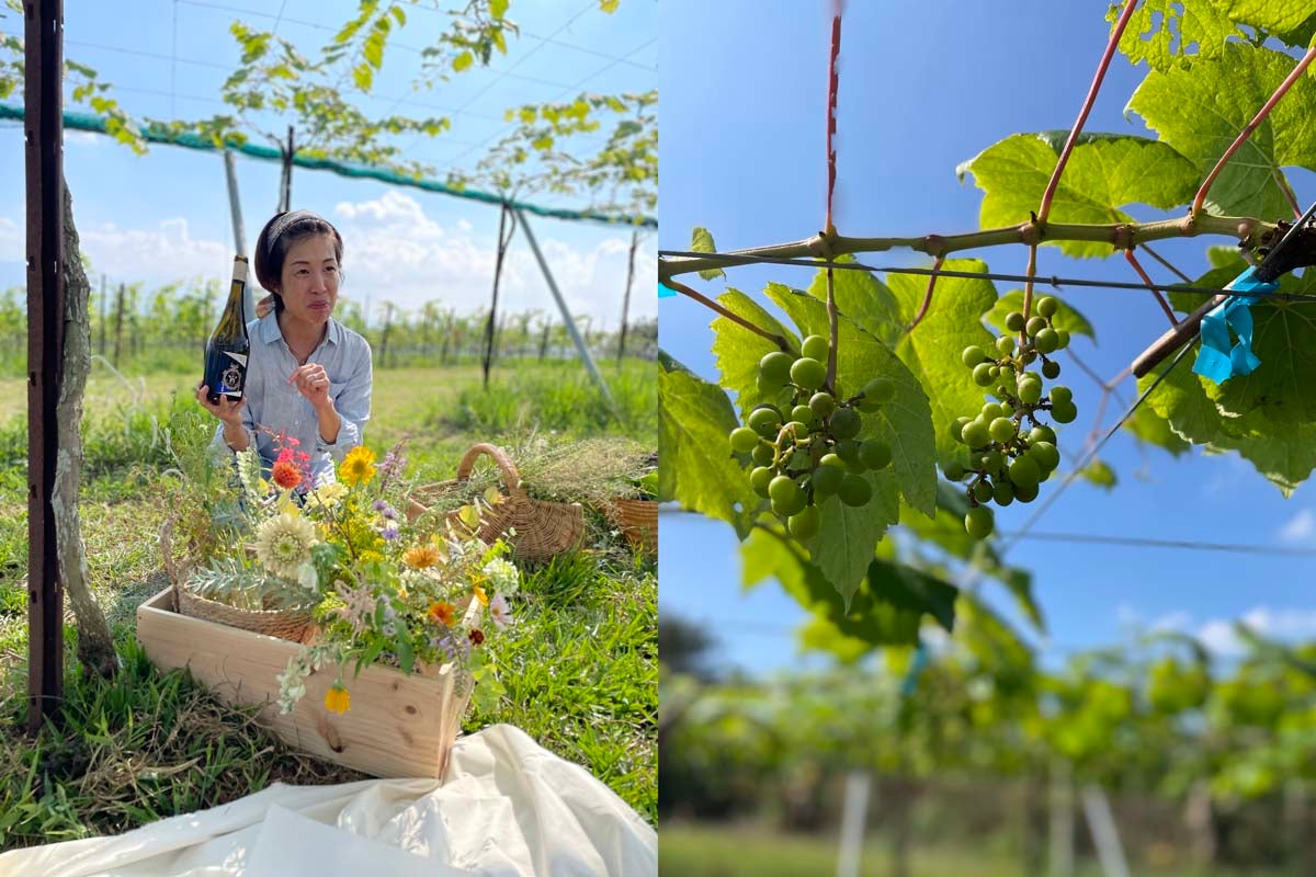 格上のワークショップ。自然が豊富で、水が豊かな埔里のWeightstoneの葡萄畑と、オーナーのビビアンさん。ヨーロッパっぽくてたまげた。