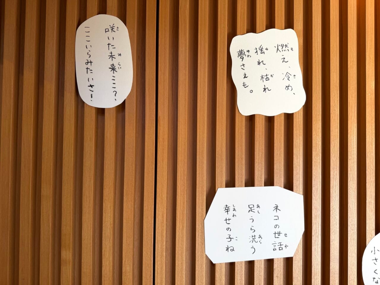 ネコの世話 足うら洗う 幸せの子ね