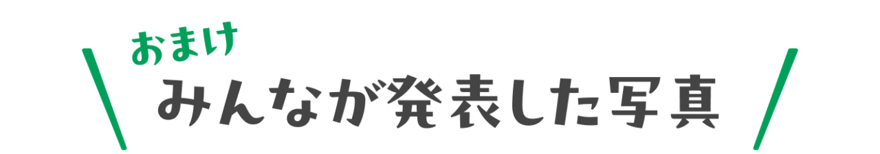 みんなが発表した写真