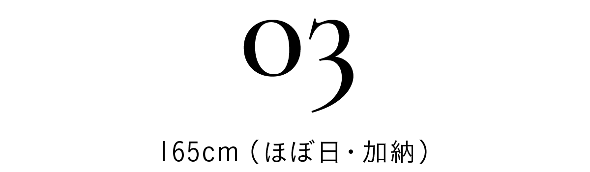 title_snap03