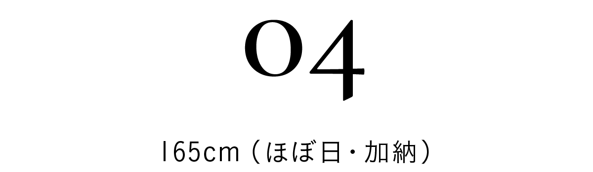 title_snap04