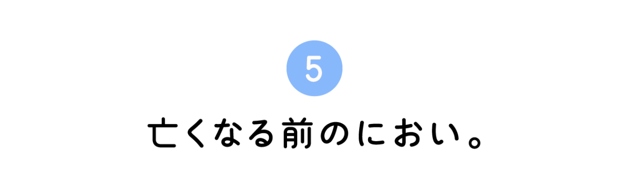 ５. 亡くなる前のにおい。
