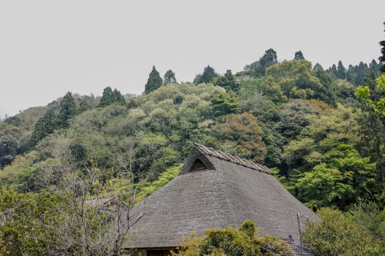 第4回 何気ない生活を垣間見る | 石見銀山で過ごした2日間がいまでも