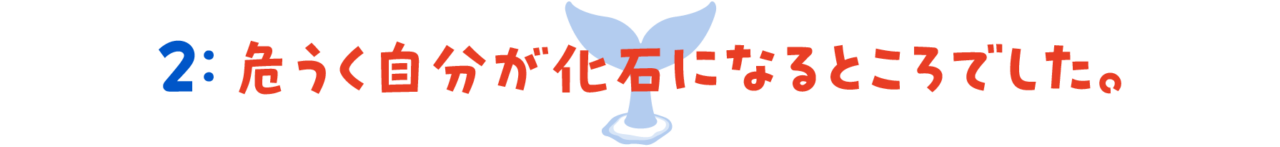次ページイメージ