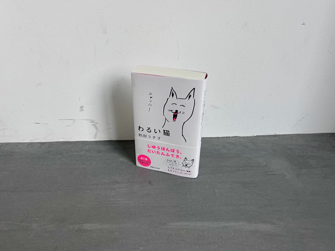 この日はヒグチユウコさんが帯にイラスト＆コメントを寄せた『わるい猫』刊行記念の対談でした