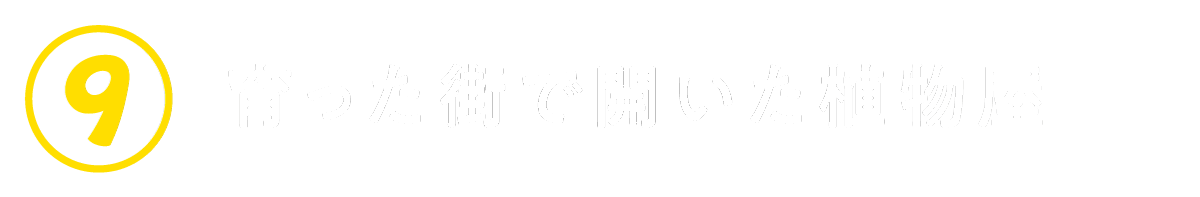 ９　育った街で開いた植物屋