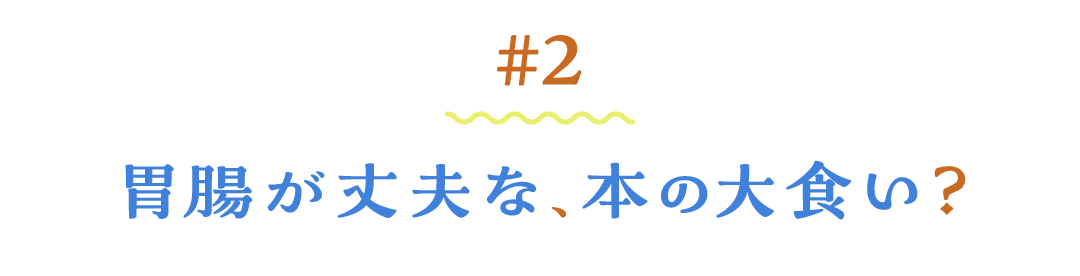 次ページイメージ