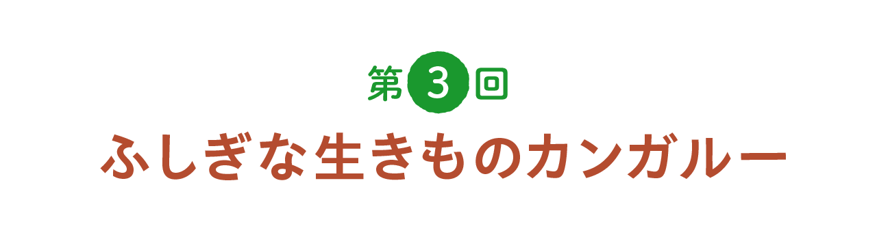 第３回 ふしぎな生きものカンガルー