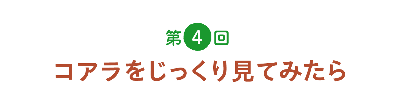 第４回 コアラをじっくり見てみたら