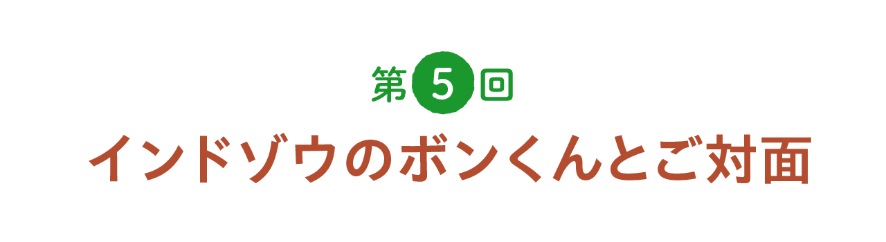 第５回 インドゾウのボンくんとご対面