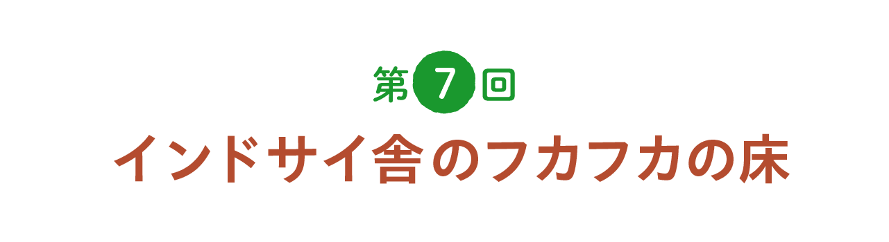 第７回 インドサイ舎のフカフカの床
