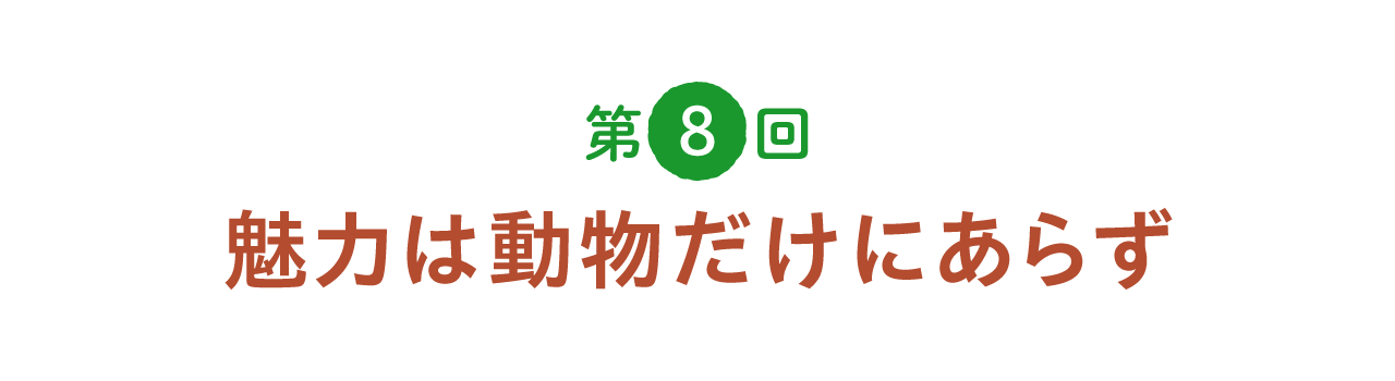 第８回 魅力は動物だけにあらず