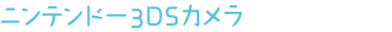 ニンテンドー3DSカメラ