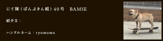 にて隊（ぱんぷきん組）40号　BAMSE
紹介文：
ハンドルネーム：ryumama
