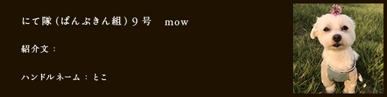 にて隊（ぱんぷきん組）9号　mow
紹介文：
ハンドルネーム：とこ
