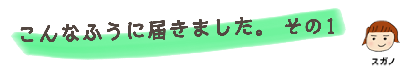 こんなふうに届きました。 その1