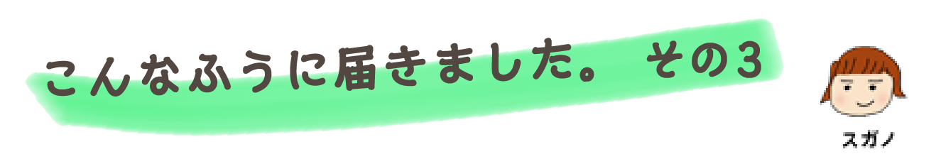 こんなふうに届きました。 その3