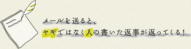 メールを送ると、 ヤギではなく人の書いた返事が返ってくる!
