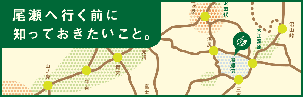 尾瀬に行く前に知っておきたいこと。