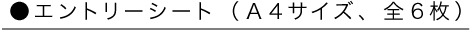 ●エントリーシート（Ａ４サイズ、全6枚）