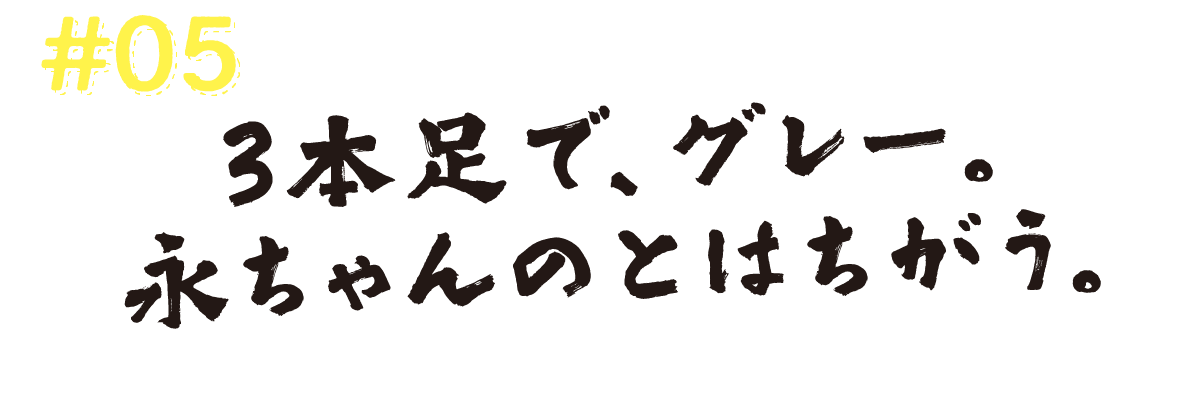 #05　３本足で、グレー。永ちゃんのとはちがう。