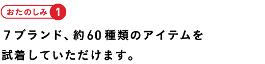 おたのしみ17ブランド、約60種類のアイテムを試着していただけます。