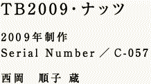 sa2009Eibc 2009N Serial Number^C-057