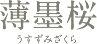 薄墨桜 うすずみざくら