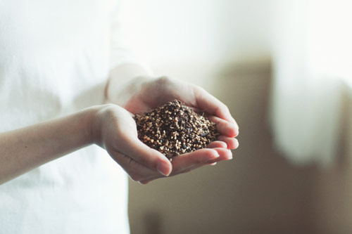 ほぼ日刊イトイ新聞 Beginningショップ