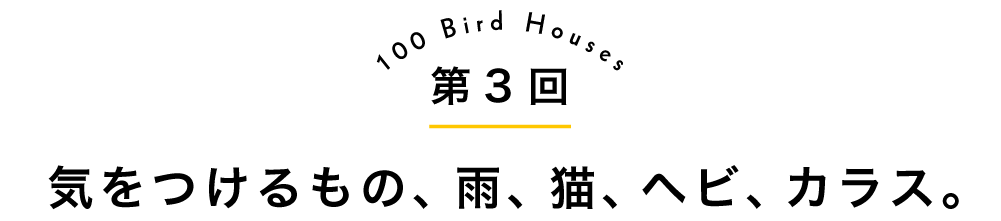 第3回気をつけるもの、雨、猫、ヘビ、カラス。