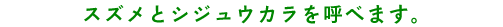 スズメとシジュウカラを呼べます。