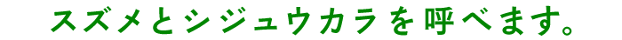 スズメとシジュウカラを呼べます。