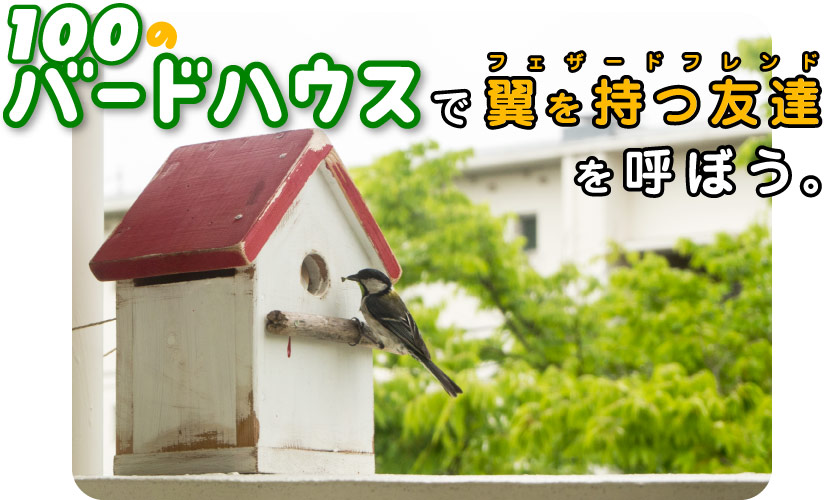 
「100のバードハウス」で
翼を持つ友達を呼ぼう。