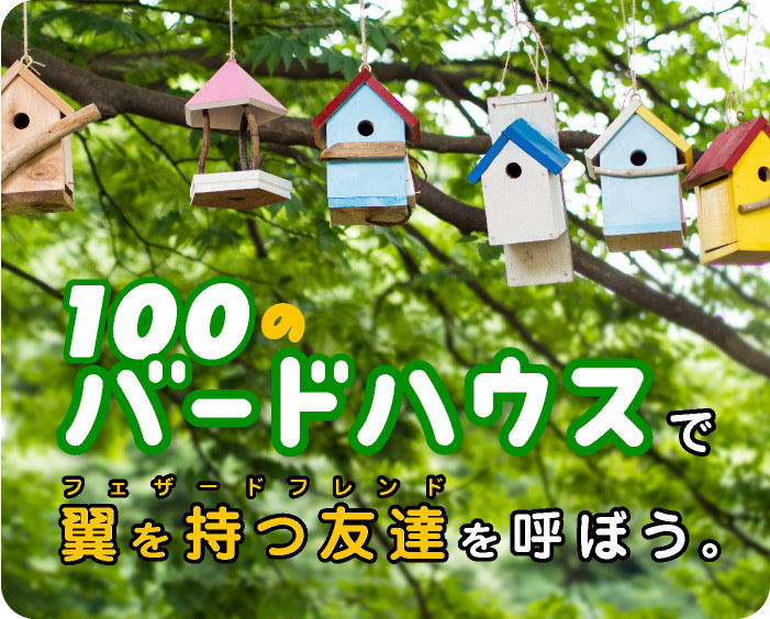 100のバードハウス ほぼ日刊イトイ新聞