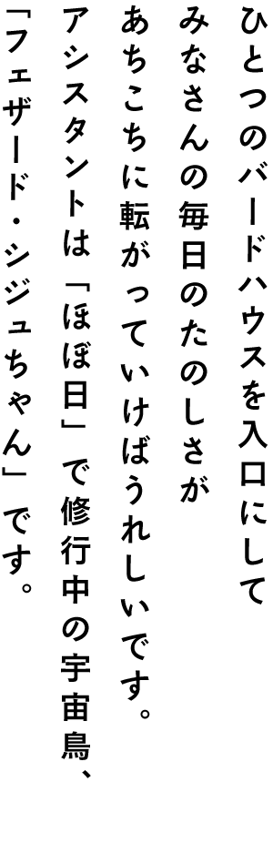 ひとつのバードハウスを入口にしてみなさんの毎日のたのしさがあちこちに転がっていけばうれしいです。アシスタントは「ほぼ日」で修行中の宇宙鳥、「フェザード・シジュちゃん」です。