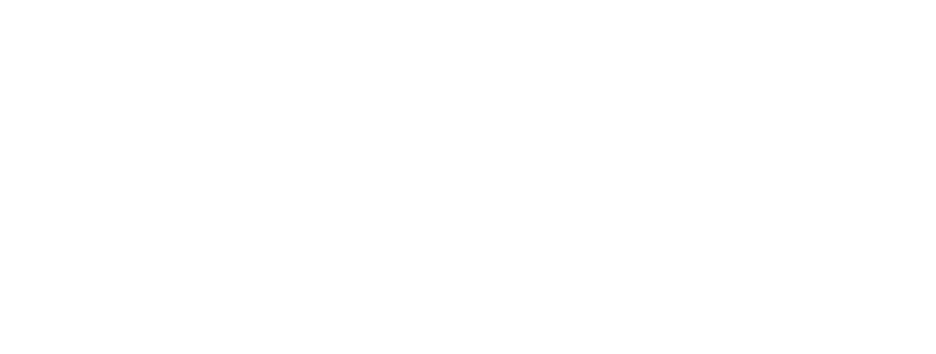 バードハウス１［HAJIME］