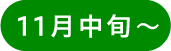 11月中旬〜