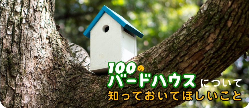 
「100のバードハウス」で
翼を持つ友達を呼ぼう。