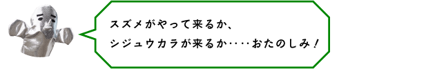 スズメがやって来るか、シジュウカラが来るか‥‥おたのしみ!