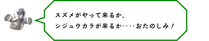 スズメがやって来るか、シジュウカラが来るか‥‥おたのしみ!