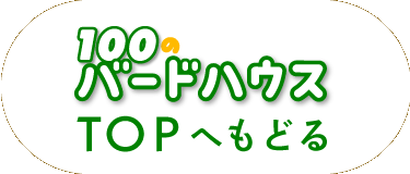 100のバードハウスTOPへもどる