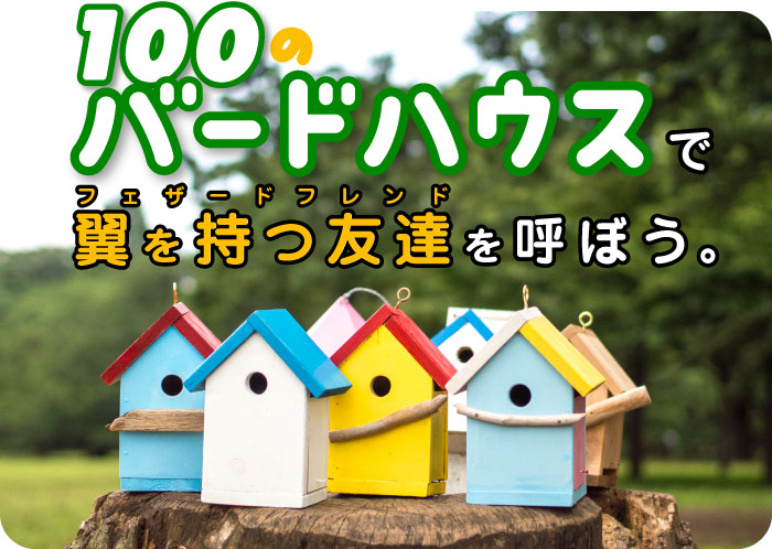 
「100のバードハウス」で
翼を持つ友達を呼ぼう。